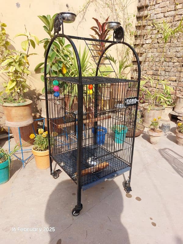 Big Parrot Cage 1