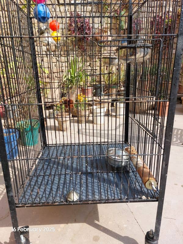 Big Parrot Cage 5