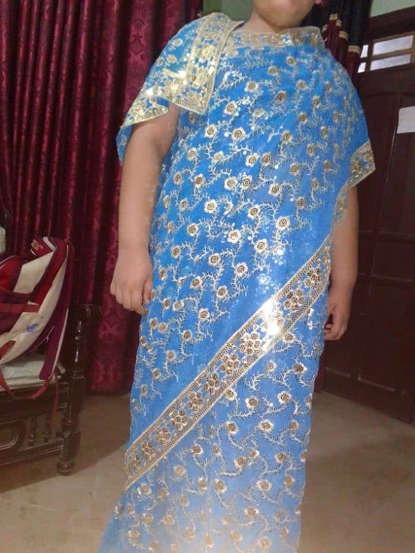 Indian Jorjet Saree 1