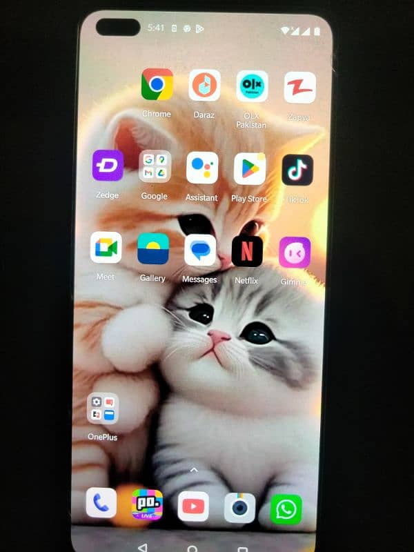OnePlus nord 0