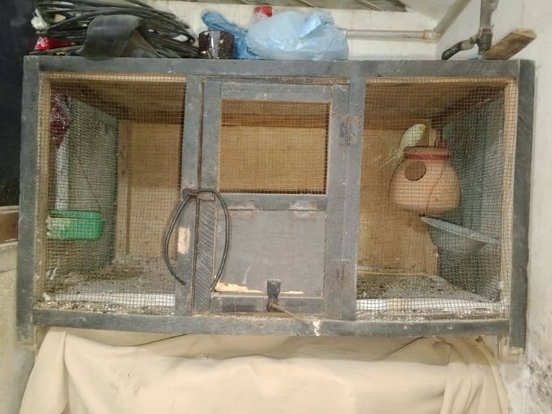 bird cage 1