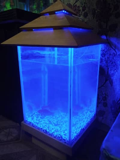 air pump and filter 2 fish aquarium  available han House shafting