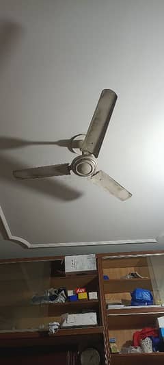 Urgent Ceiling Fans for sale