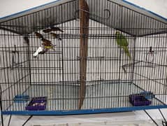 Birds Cage for sale (Urgent)