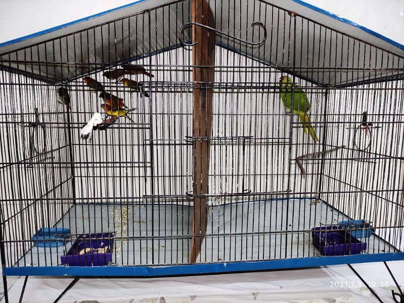 Birds Cage for sale (Urgent) 1