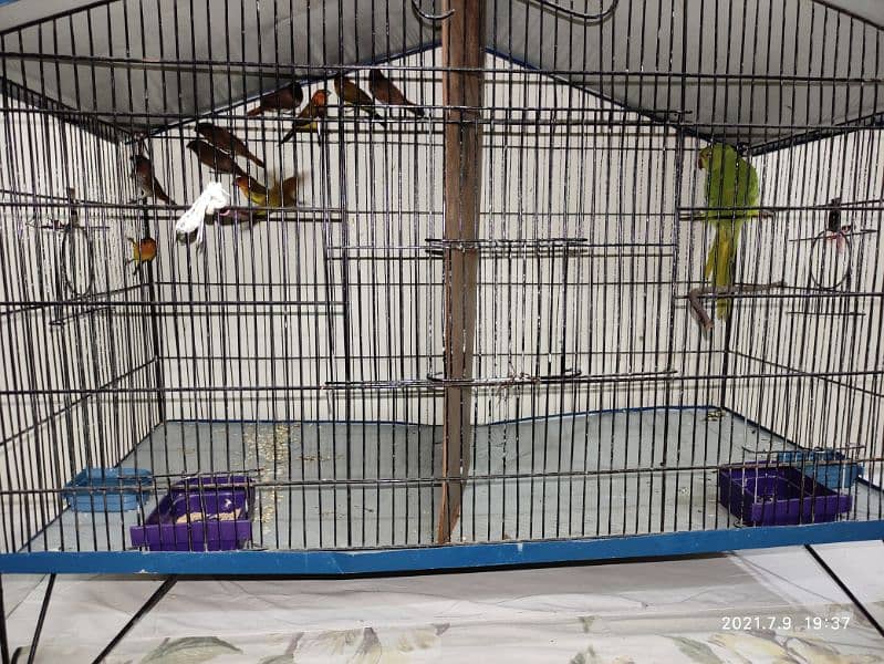 Birds Cage for sale (Urgent) 2