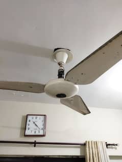 Old model working fans