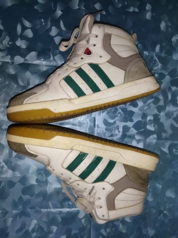 High-Top Sneakers – Used but in Good Condition 1