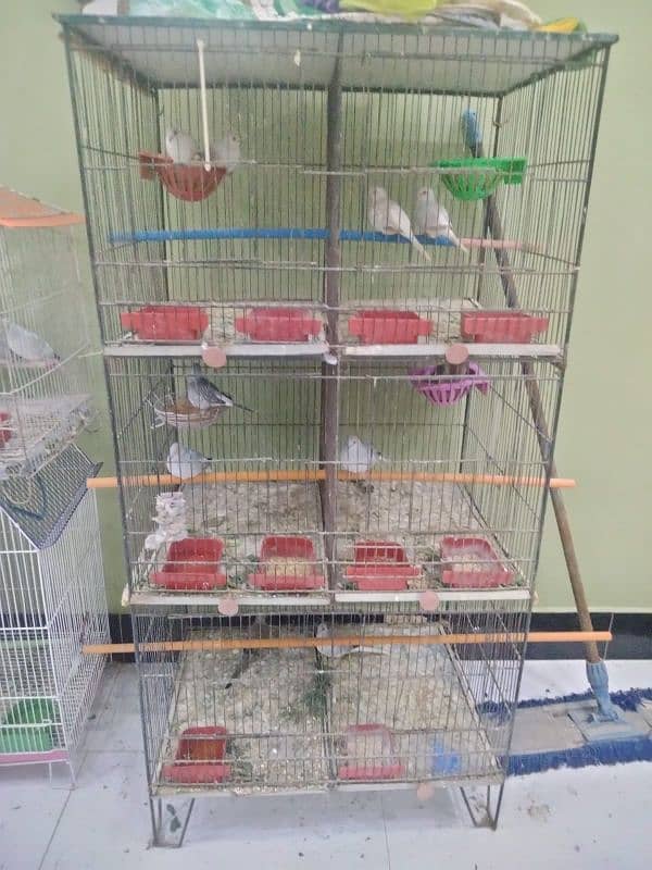 6 portion cage for sale with 5 pair doves 1