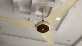 ceiling fans , Pak fan,Champion fan, Sonex fan, Royal fan