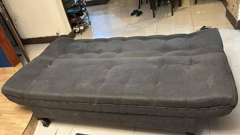 Sofa cum bed 1