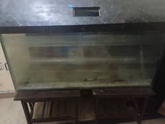 Aquarium 12mm glass