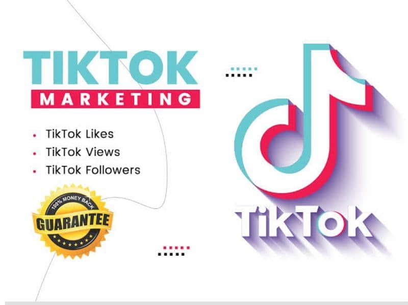 YOUTUBE AND TIKTOK SERVICES 2