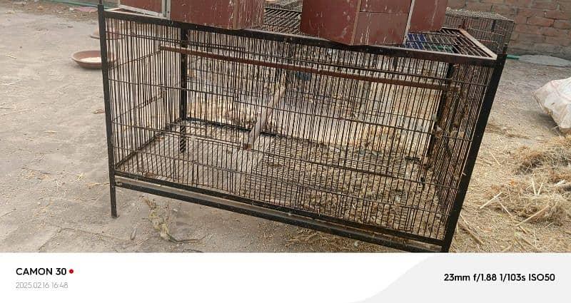 parrots cages / breeding boxes  /parrot feed cleaner machine 0