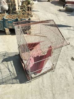 birds cage for sale