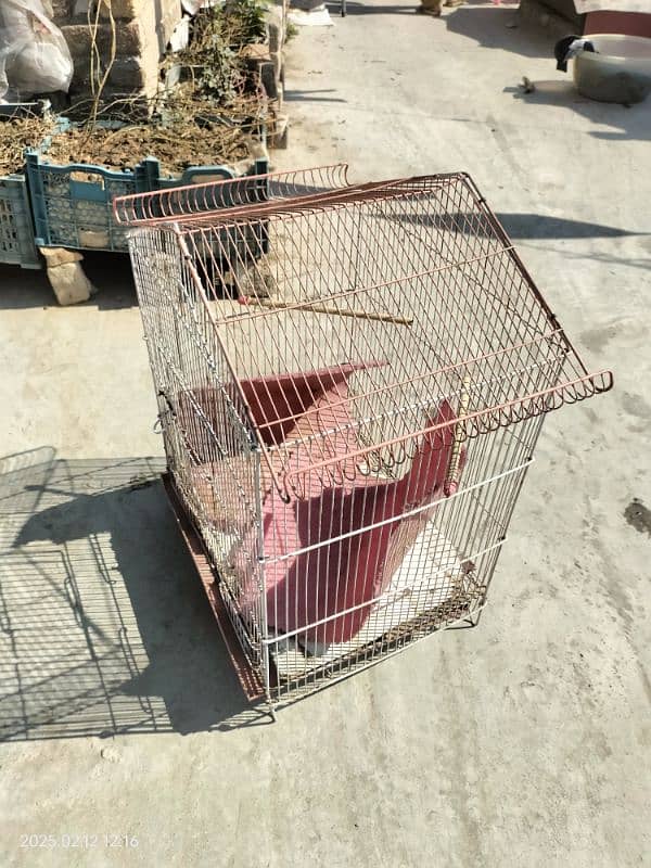 birds cage for sale 0