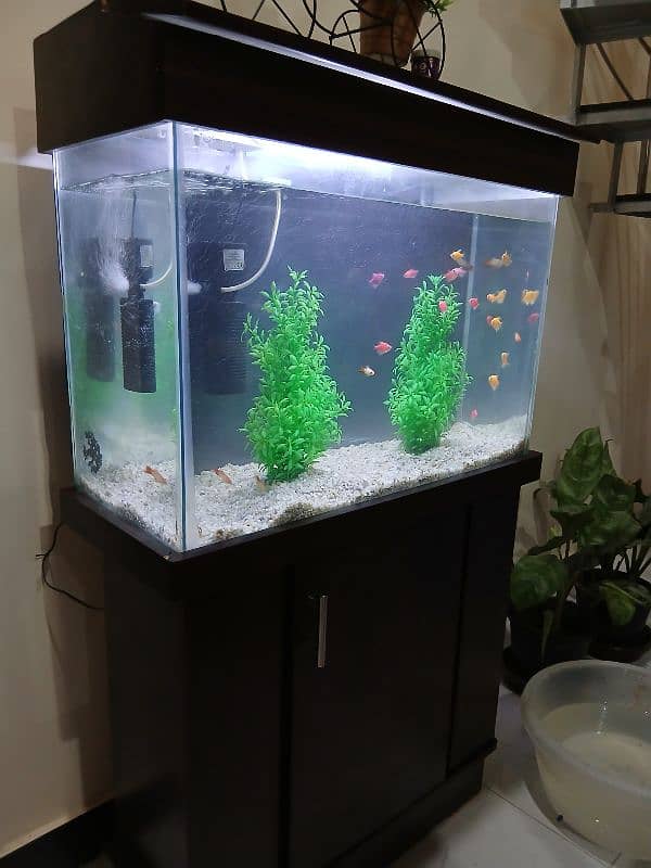 Fish Aquarium For Sale / Size 3x2 1