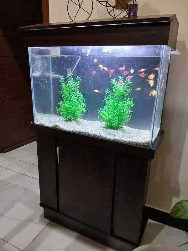 Fish Aquarium For Sale / Size 3x2 3