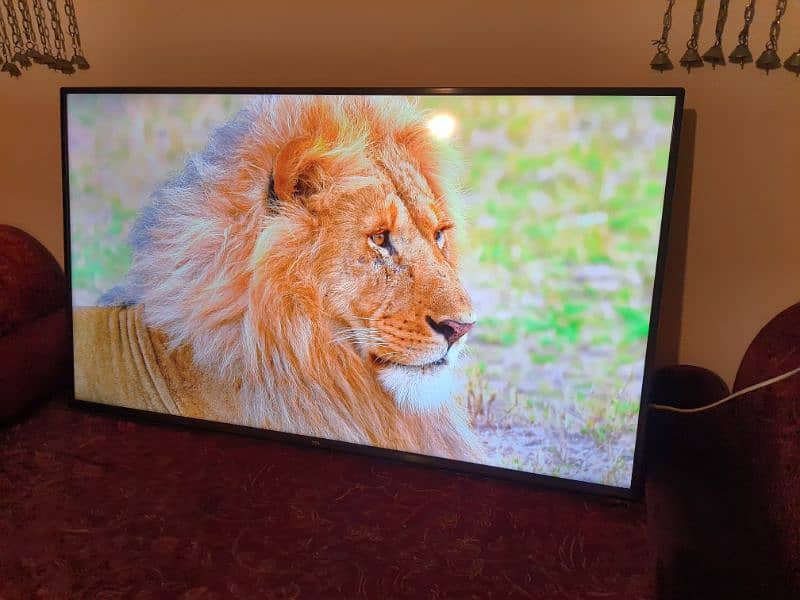 Tcl led 4k android 50 inch neat clean perfect led no fault (call me) 5