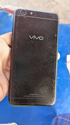 vivo