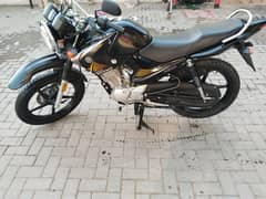 Ybr g 2025 model 125 cc