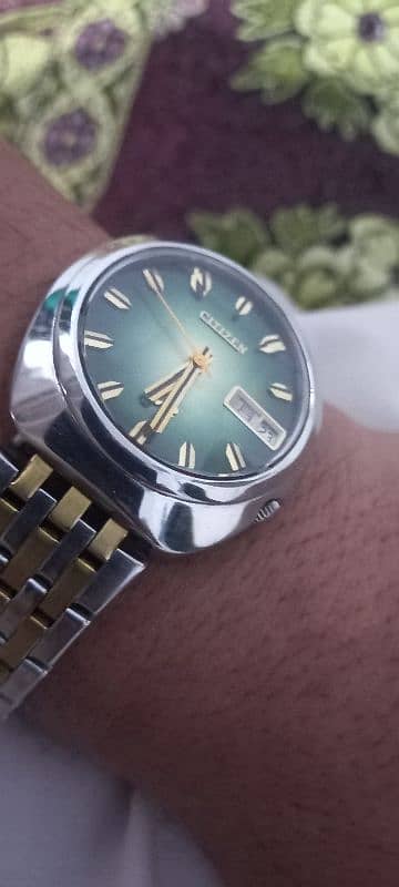 citizen v2   24 jewls 5