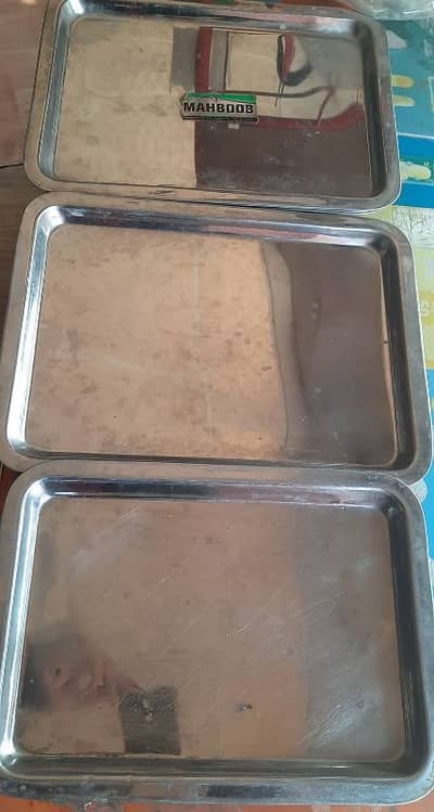 Stainless steel trays