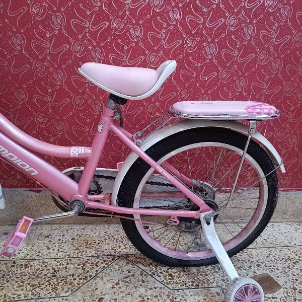 KIDS PINK CYCLE 2