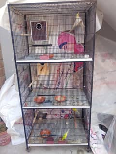 big bird 3 portion cage raw ring neck parrot cage new