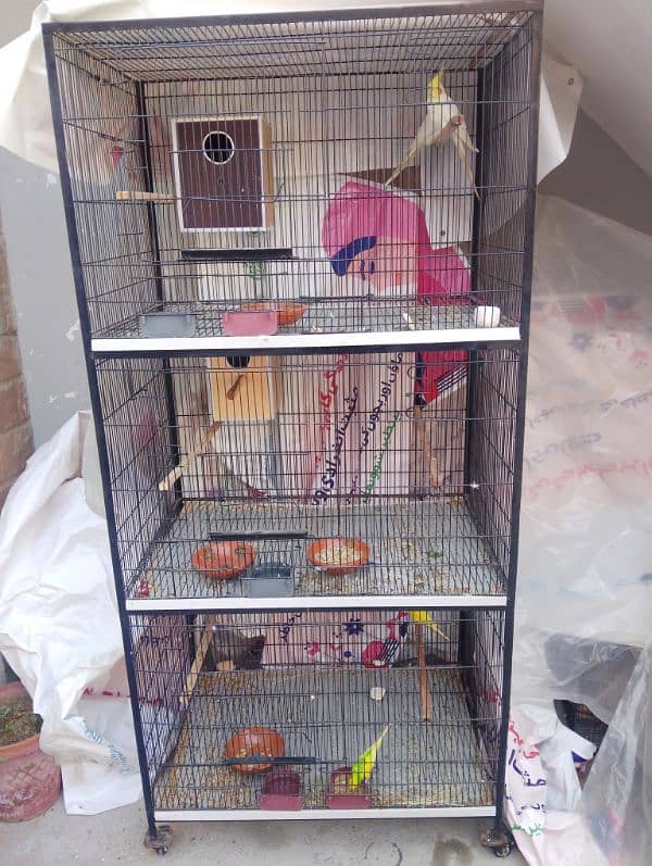 big bird 3 portion cage raw ring neck parrot cage new 0