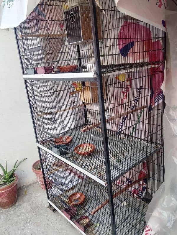 big bird 3 portion cage raw ring neck parrot cage new 2