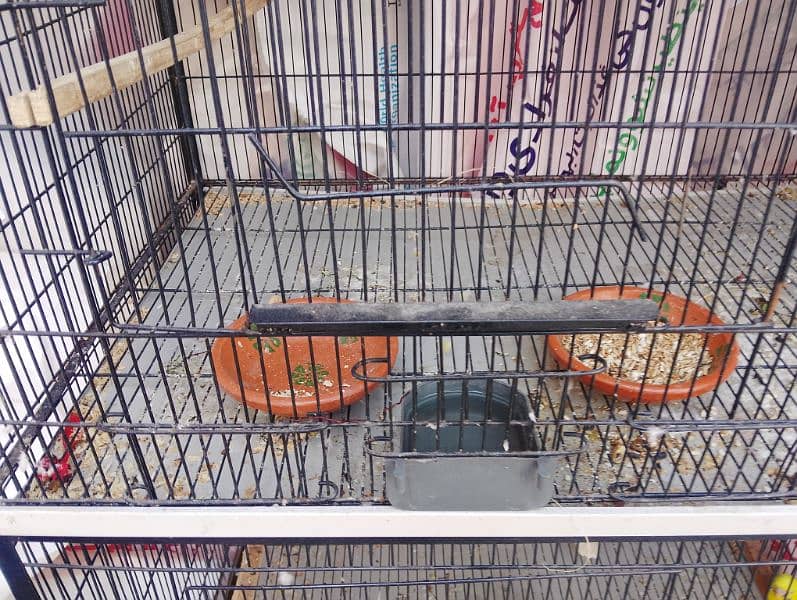 big bird 3 portion cage raw ring neck parrot cage new 5