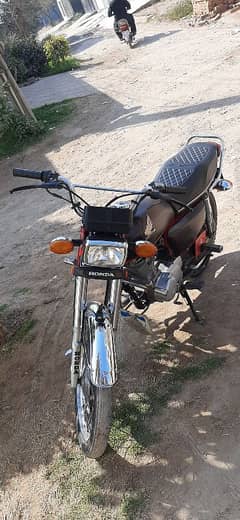 honda 125 19/20