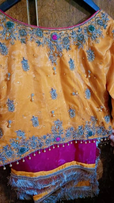 Wedding Dress / Engagement Dress / Mehndi Dress 11