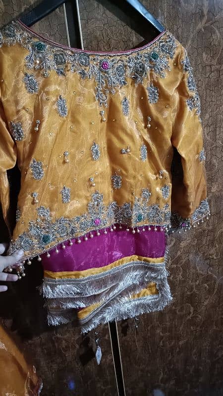 Wedding Dress / Engagement Dress / Mehndi Dress 12