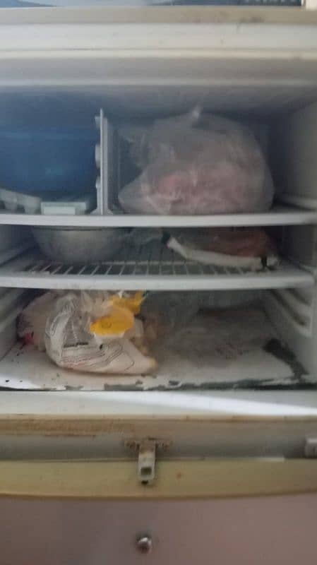 pel refrigerator good condition urgent sale 4