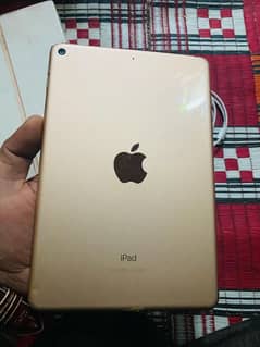 i pad mini5 64 gb goldan