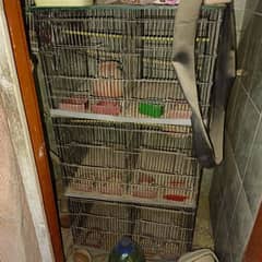 6 portion Birds Cage