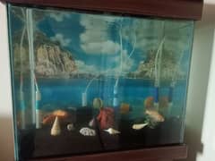 Aquarium/fish for sale