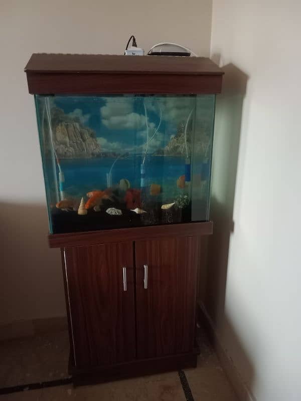 Aquarium/fish for sale 1