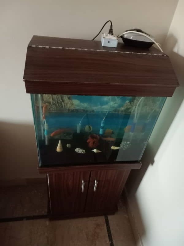 Aquarium/fish for sale 3