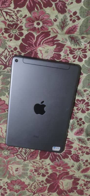 ipad mini 5 sim supported 1