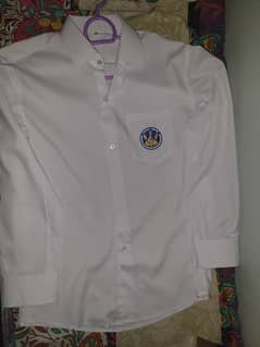 City school Shirt