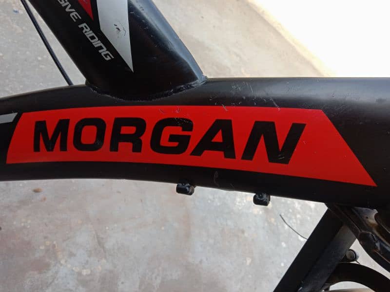 Morgan cycle condition is well 2