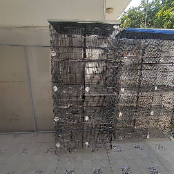 Bird Folding Cages For Sale 0