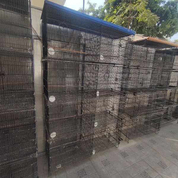 Bird Folding Cages For Sale 1