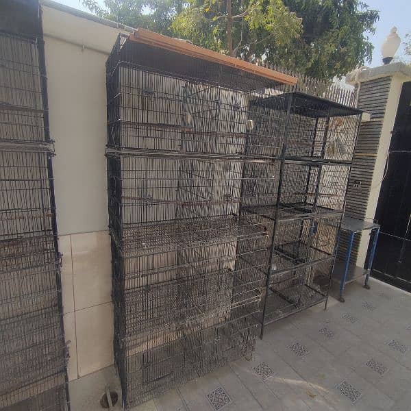 Bird Folding Cages For Sale 2