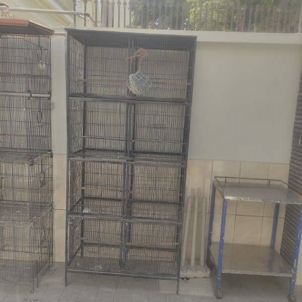 Bird Folding Cages For Sale 3