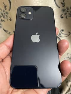 iPhone 12 256GB PTA Approved