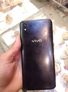 Vivo